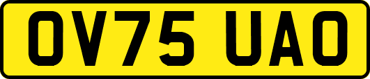 OV75UAO