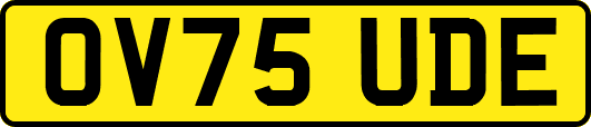 OV75UDE
