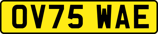 OV75WAE