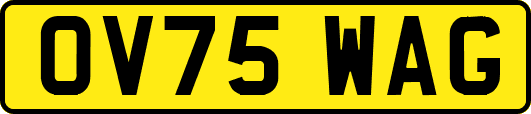 OV75WAG