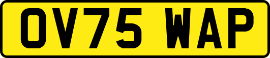 OV75WAP