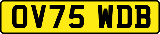 OV75WDB