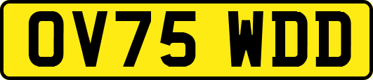OV75WDD