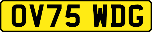 OV75WDG