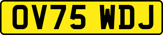 OV75WDJ