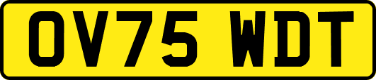 OV75WDT