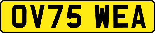 OV75WEA