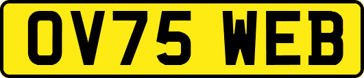 OV75WEB