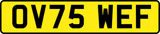 OV75WEF