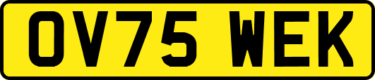 OV75WEK