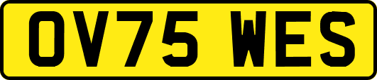 OV75WES