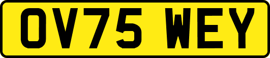 OV75WEY