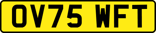 OV75WFT