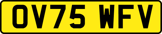 OV75WFV