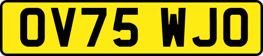 OV75WJO