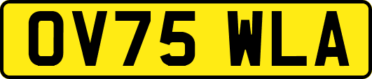 OV75WLA