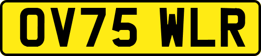 OV75WLR