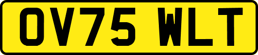 OV75WLT