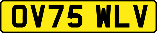 OV75WLV