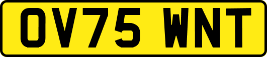 OV75WNT