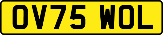 OV75WOL