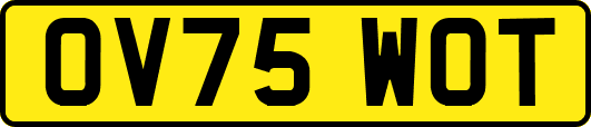 OV75WOT