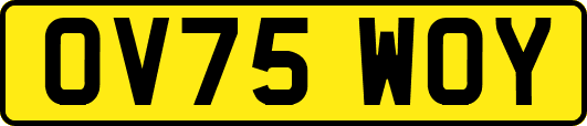 OV75WOY