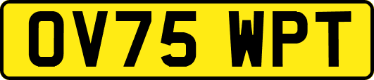 OV75WPT