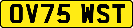 OV75WST