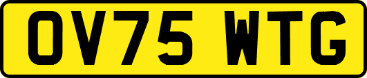OV75WTG