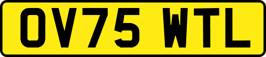 OV75WTL