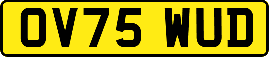 OV75WUD