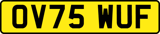 OV75WUF