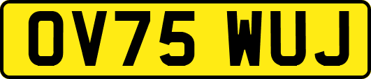 OV75WUJ