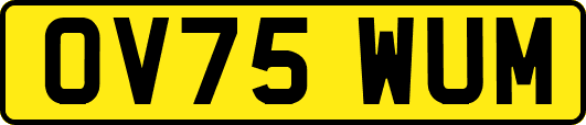 OV75WUM