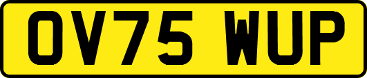 OV75WUP