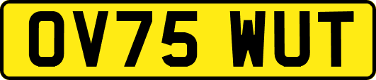 OV75WUT