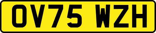 OV75WZH