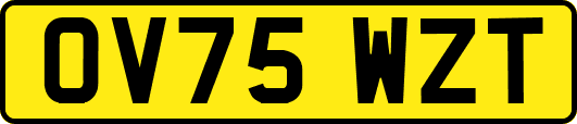 OV75WZT