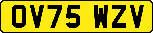 OV75WZV