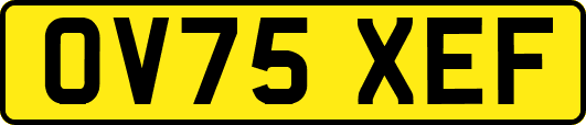 OV75XEF