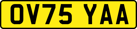 OV75YAA