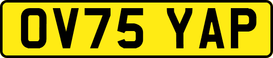 OV75YAP