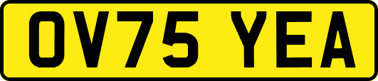 OV75YEA