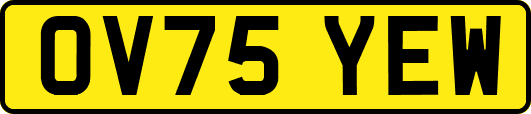 OV75YEW