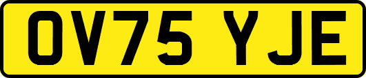 OV75YJE