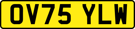 OV75YLW