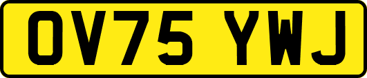 OV75YWJ