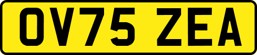 OV75ZEA