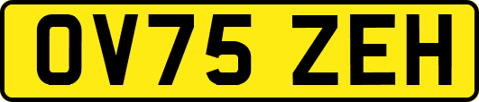 OV75ZEH